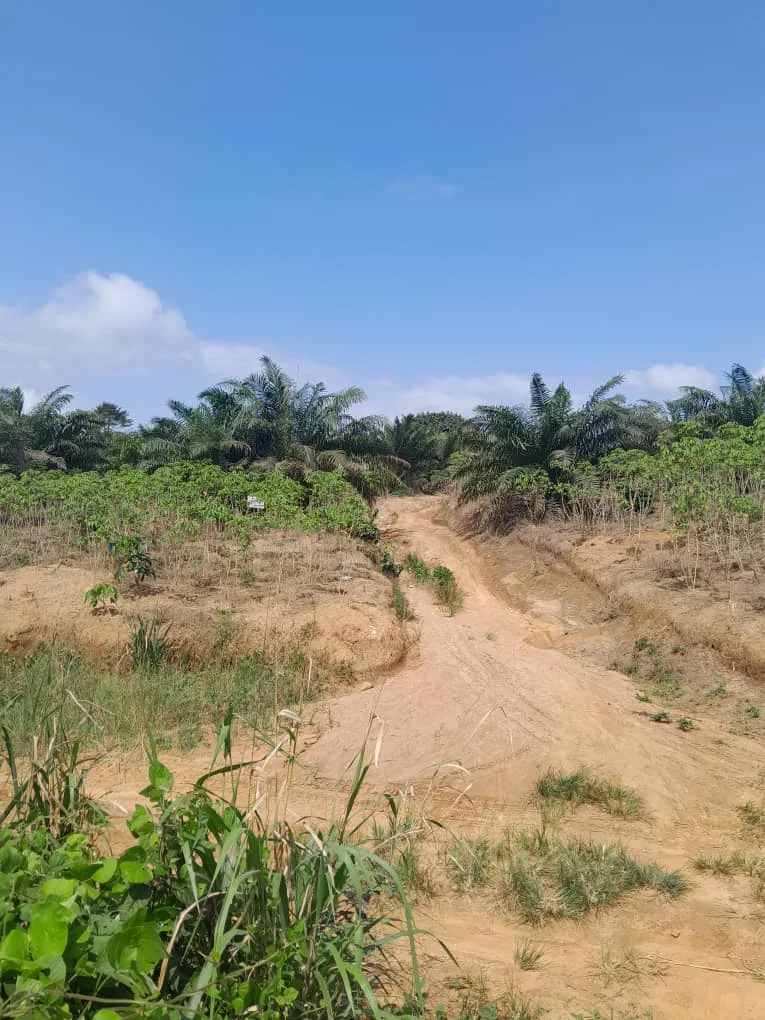 terrain2