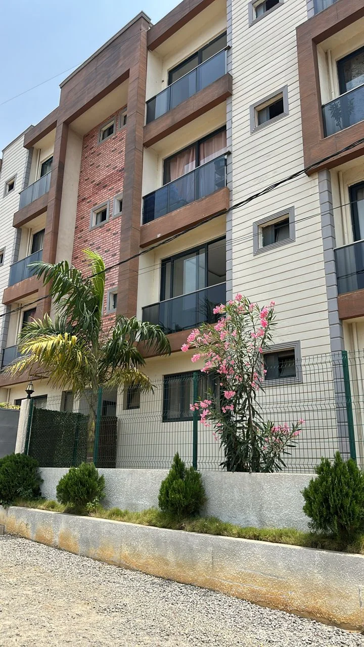 imm1